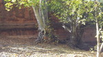 photo thumbnail #13