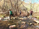 photo thumbnail #12