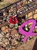 photo thumbnail #10
