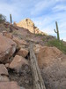 photo thumbnail #3