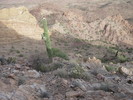 photo thumbnail #4