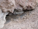 photo thumbnail #14