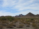 photo thumbnail #15