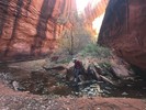photo thumbnail #6