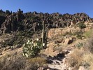 photo thumbnail #3