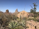 photo thumbnail #5