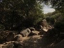 photo thumbnail #15