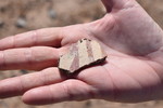 photo thumbnail #1