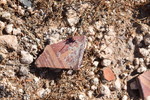 photo thumbnail #9