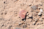photo thumbnail #13
