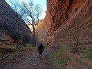 photo thumbnail #5