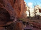 photo thumbnail #6