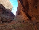 photo thumbnail #7
