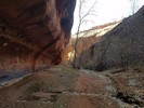 photo thumbnail #11