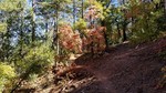 photo thumbnail #12