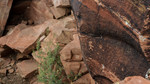 photo thumbnail #15
