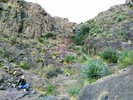 photo thumbnail #4