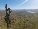 photo thumbnail #3