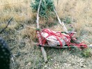 photo thumbnail #9
