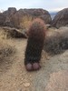 photo thumbnail #1