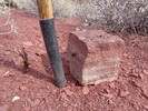 photo thumbnail #7