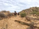 photo thumbnail #1