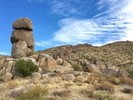 photo thumbnail #8