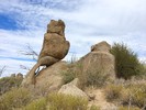 photo thumbnail #14