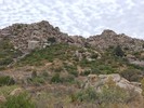 photo thumbnail #15