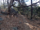 photo thumbnail #9