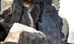 photo thumbnail #10