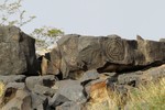 photo thumbnail #3