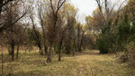 photo thumbnail #9