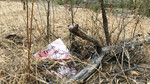 photo thumbnail #7