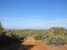 photo thumbnail #8