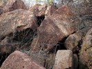 photo thumbnail #15