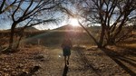 photo thumbnail #1