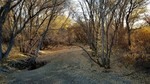 photo thumbnail #2
