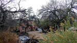 photo thumbnail #11