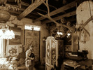 photo thumbnail #13
