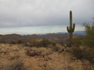 photo thumbnail #3