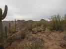 photo thumbnail #4