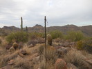 photo thumbnail #5