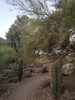 photo thumbnail #3