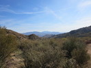 photo thumbnail #9