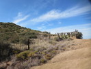 photo thumbnail #11