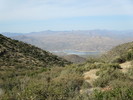 photo thumbnail #12