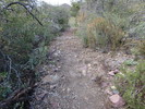 photo thumbnail #1