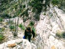 photo thumbnail #6