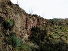 photo thumbnail #9